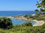 Maison 100 m2 Corbara