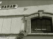 Maison 10 pièces 250 m²