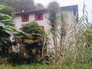 Maison 10 pièces 270 m²