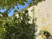 Maison 10 pièces 326 m²