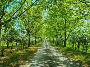 Maison 8 pièces 500 m²