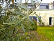 Maison 12 pièces 303 m²