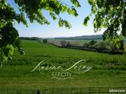 Maison 12 pièces 400 m²