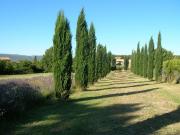 Maison 12 pièces 600 m²