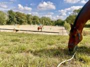 Maison 14 pièces 395 m² Maison 14 pièces 395 m²