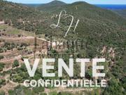 Maison 1600 m2 St Tropez
