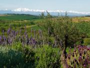 Maison 18 chambres, Carcassonne Aude DS98502785