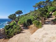 Maison 1 pièce 35 m²