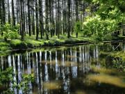 Maison 1 pièce 45 m²