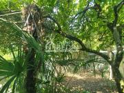 Maison 1 pièces 65m² Bordeaux