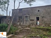 Maison 200 m² Les Lucs sur Boulogne