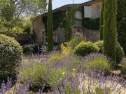 Maison 220 m2 Menerbes