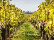 Maison 232 m2 Gassin