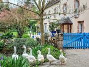 Maison avec jardin et terrasse