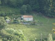 Maison 2 pièces 26 m²