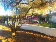 Maison 2 pièces 56 m²