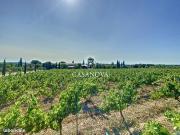 Maison 35 pièces 1200 m²