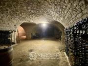 Maison 380 m2 Mercurey