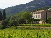 Maison 385 m2 Ollioules