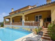 Maison 3 chambres, ALBI Midi 81000 DS99445939