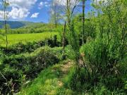 Maison 3 chambres, BRASSAC Midi Pyrénées 09000 DS94757077