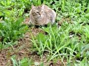 Maison 3 pièces 50 m²