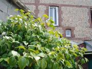 Maison 3 pièces 52 m²