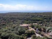Maison en bord de mer avec jardin