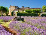Maison 450 m2 Bonnieux