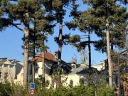 Maison 450 m2 Boulogne Billancourt