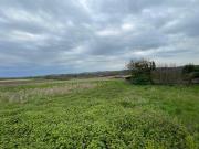 Maison 4 chambres, Mirande Gers 32300 DLS96621233