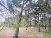 Maison 4 pièces 115 m²