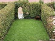 Maison 4 pièces 62 m²