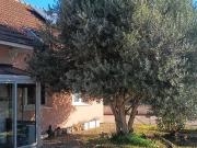 Maison 4 pièces 66 m²