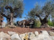 Maison 4 pièces 70 m² Maison 4 pièces 70 m²