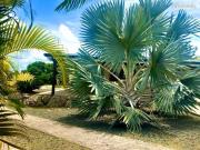 Maison 4 pièces 79 m²