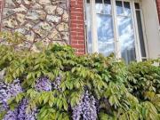 Maison 4 pièces 87 m²