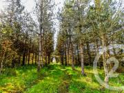 Maison 4 pièces 88 m²