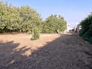 Maison 4 pièces 93 m²