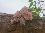 Maison 4 pièces 93 m²