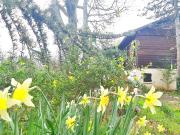 Maison 4 pièces 95 m²