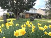 Maison 4 pièces 98 m²