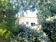 Maison 500 m2 Saint Rémy de Provence