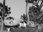 Maison avec jardin
