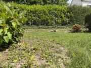 Maison 5 pièces 105 m²
