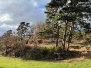 Maison 5 pièces 113 m²