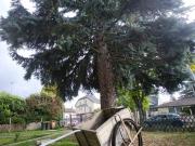 Maison 5 pièces 130 m²