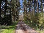 Maison 5 pièces 134 m²