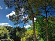 Maison 5 pièces 136 m² Maison 5 pièces 136 m²