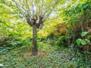 Maison 5 pièces 140 m²